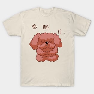 Namaste Poodle T-Shirt